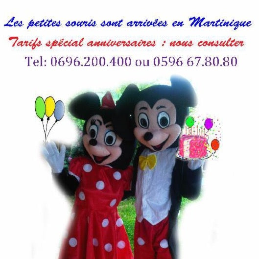 Mascotte Souris Minnie ( taille S ou M au choix)