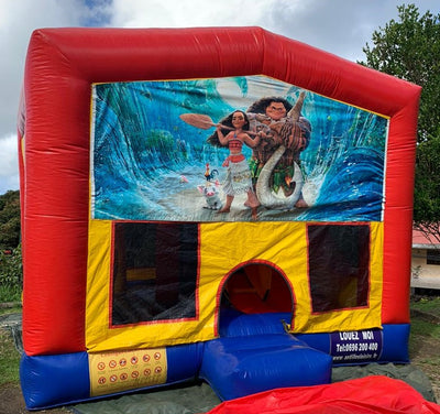 CHATEAU GONFLABLE AVEC TOBOGGAN INTERIEUR/ FORFAIT DE 4H PÉRIODE HAUTE