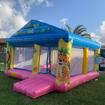 Piscine à Balles pour enfants jusqu'à 10 ans ( env. 5 x4.5 x Ht 4 m.)/ FORFAIT DE 4H