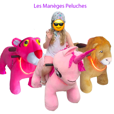 Peluche(s) Motorisée(s) pour enfants de 2 à 6 ans pendant 2H (par default de 15H à 17H sauf indication contraire)